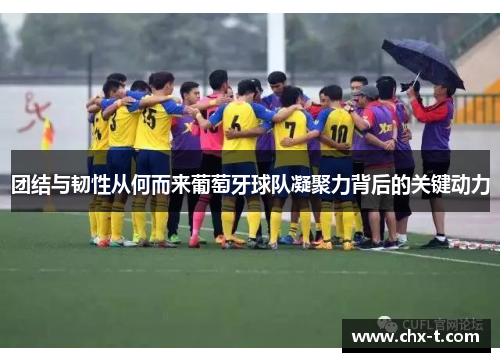 团结与韧性从何而来葡萄牙球队凝聚力背后的关键动力